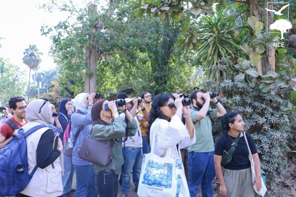Migratory Birds and Egypt’s Native Plants: A Connection Worth Protecting